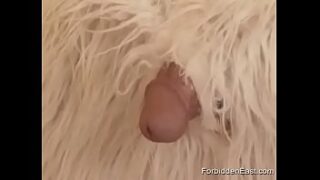Run over